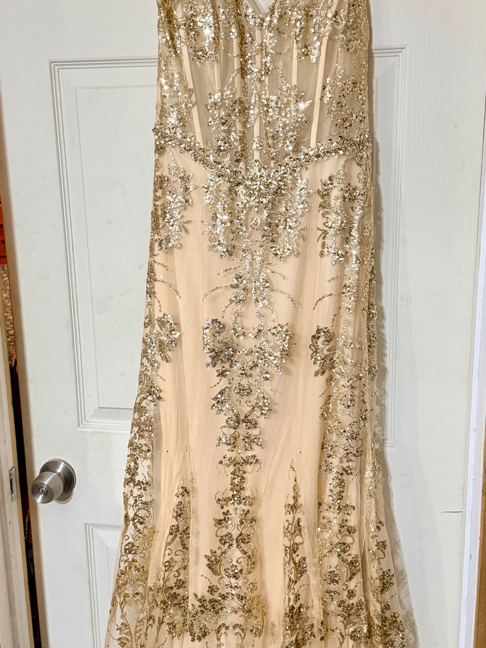 Dancing Queen Champagne Gown with Gold Sequin Embroidery